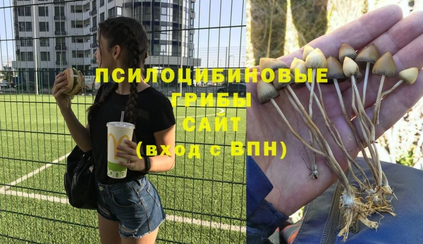 мяу мяу мука Алзамай