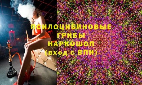 ПСИЛОЦИБИНОВЫЕ ГРИБЫ Алексеевка