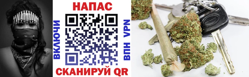 Бошки марихуана семена  shop официальный сайт  Тогучин  где найти наркотики 
